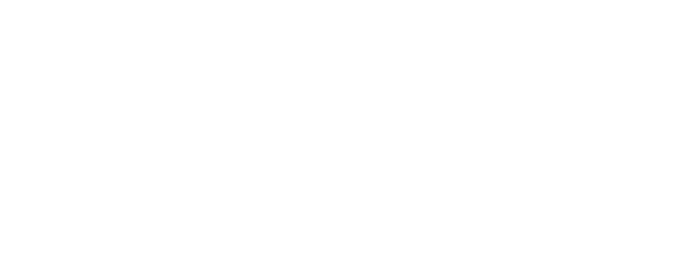 Dries Vanmierlo Media logo