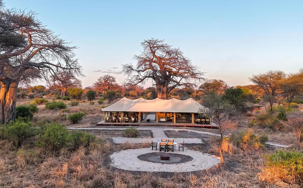 Canvas suite at Tarangire Greenland Retreat surrounded by baobab trees