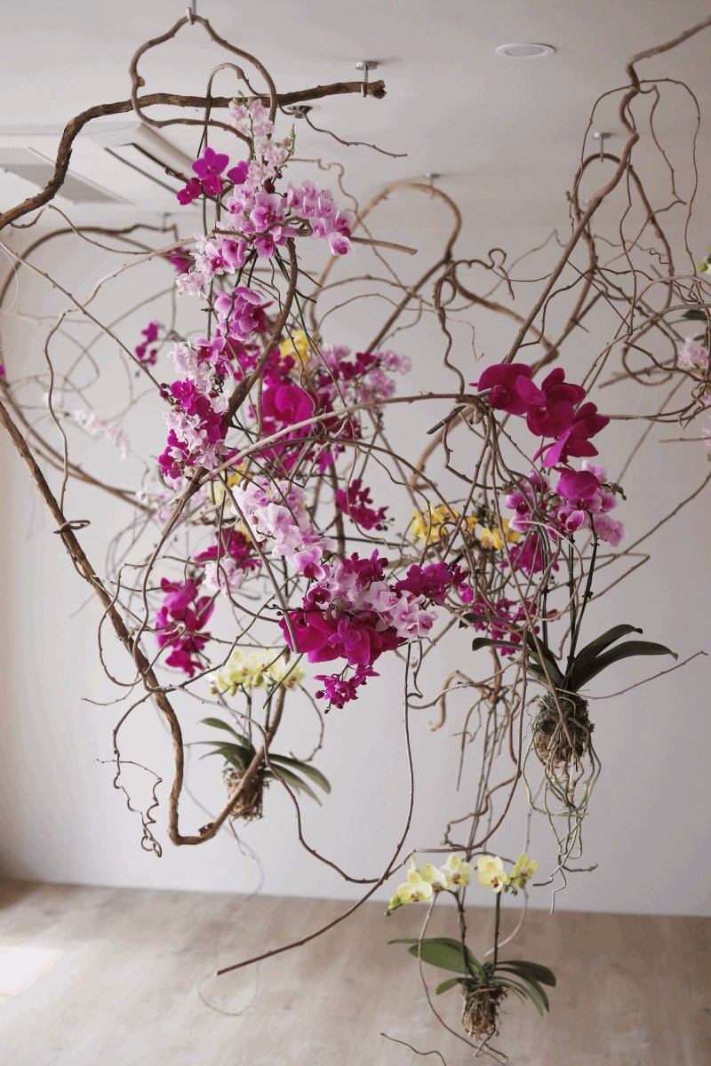 Arrangement by Studio MM