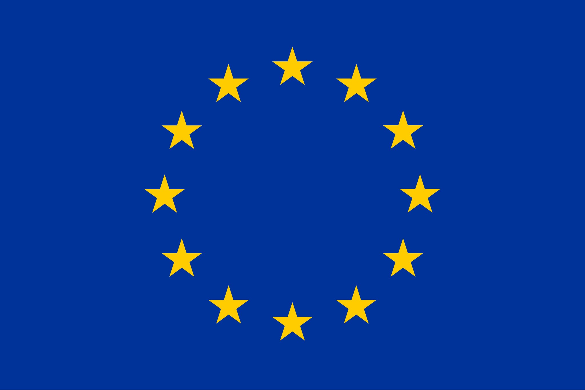 European Union Flag