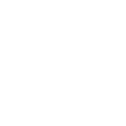 PeekTag Logo