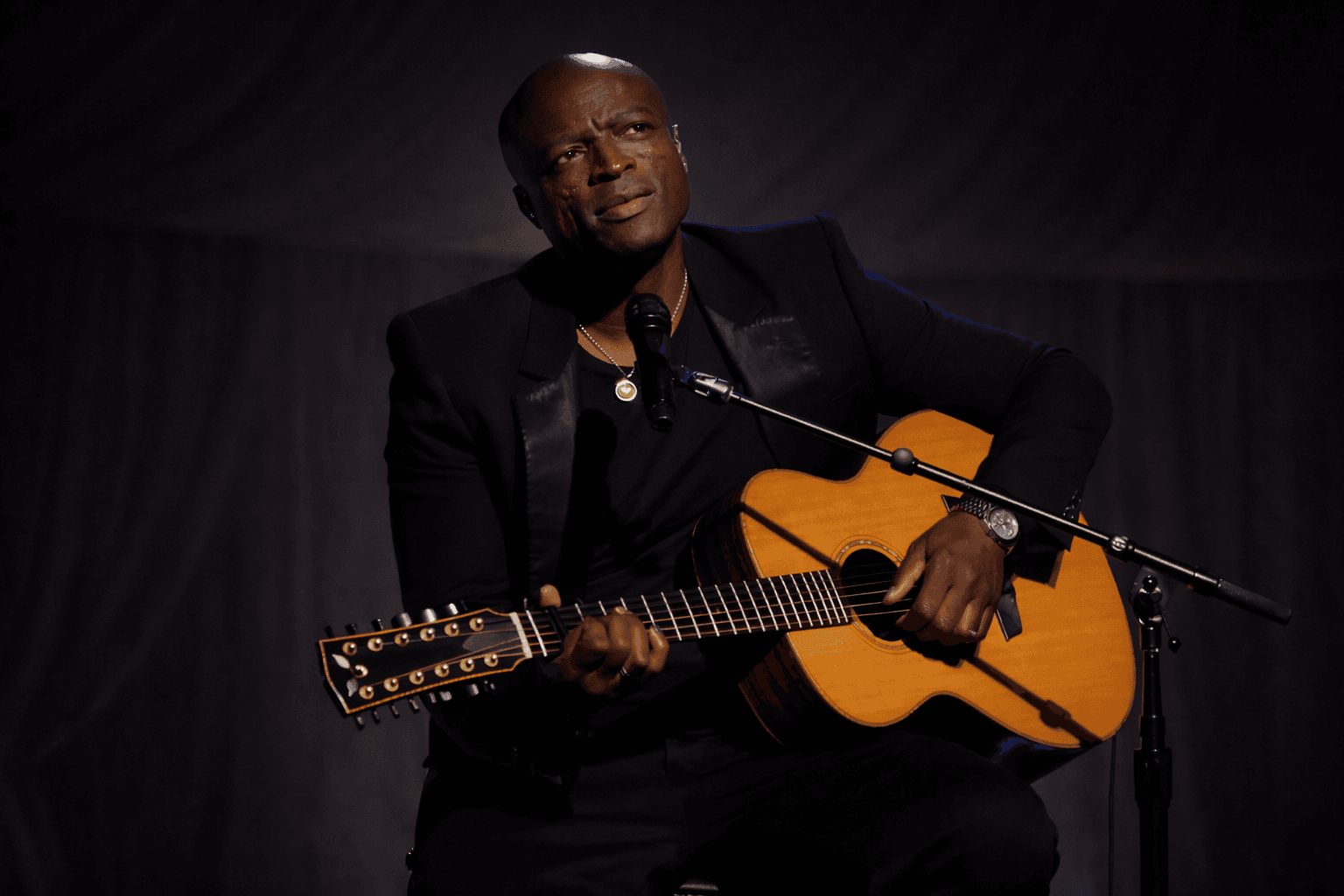 Seal on Guitar