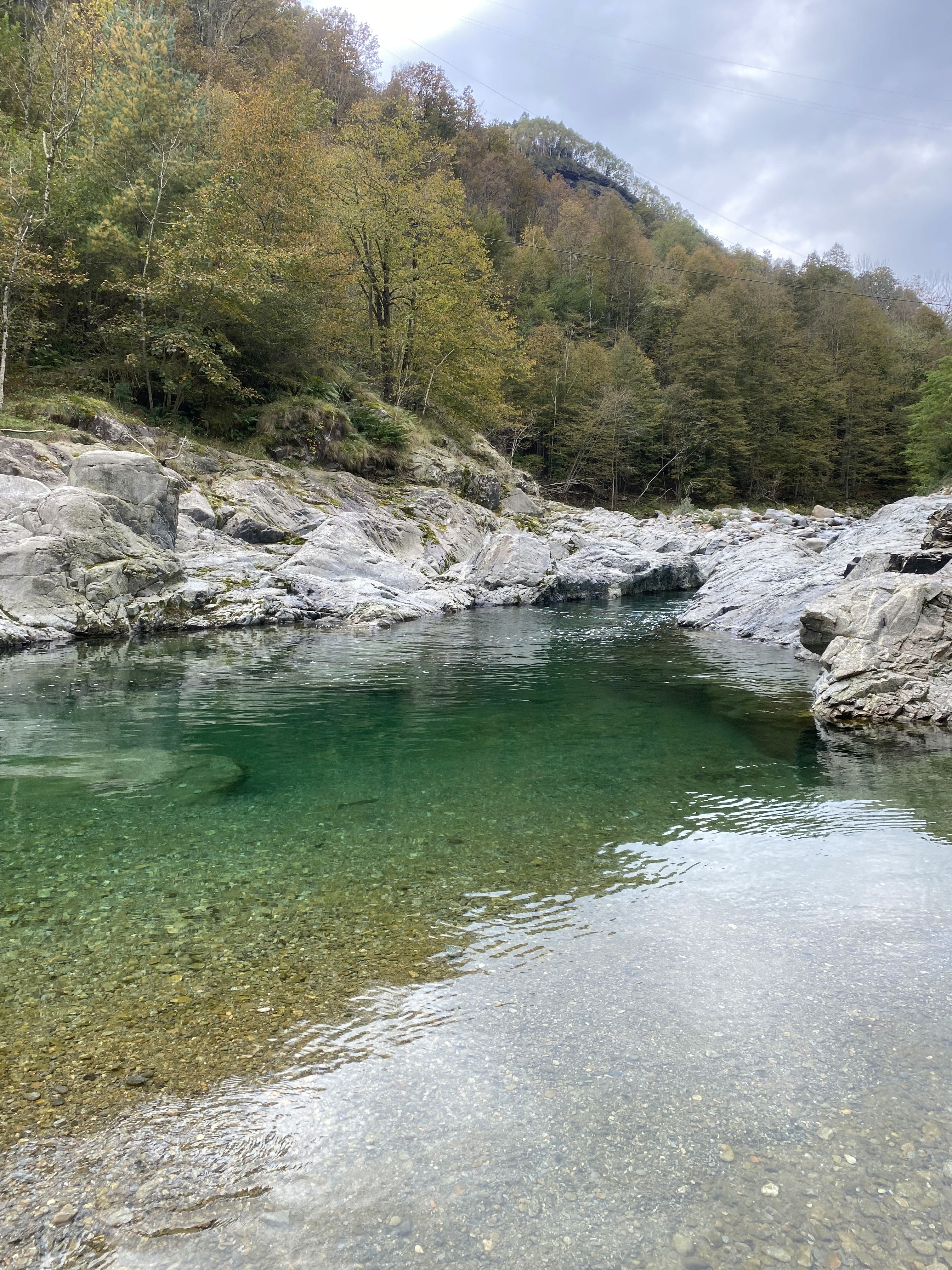 Reserve your fly fishing trip on Italy's Sesia River near Milan, targeting large brown trout, marble trout, and grayling in pristine waters. Guided by experts, refine advanced fishing techniques in an idyllic setting—ideal for anglers chasing trophy fish