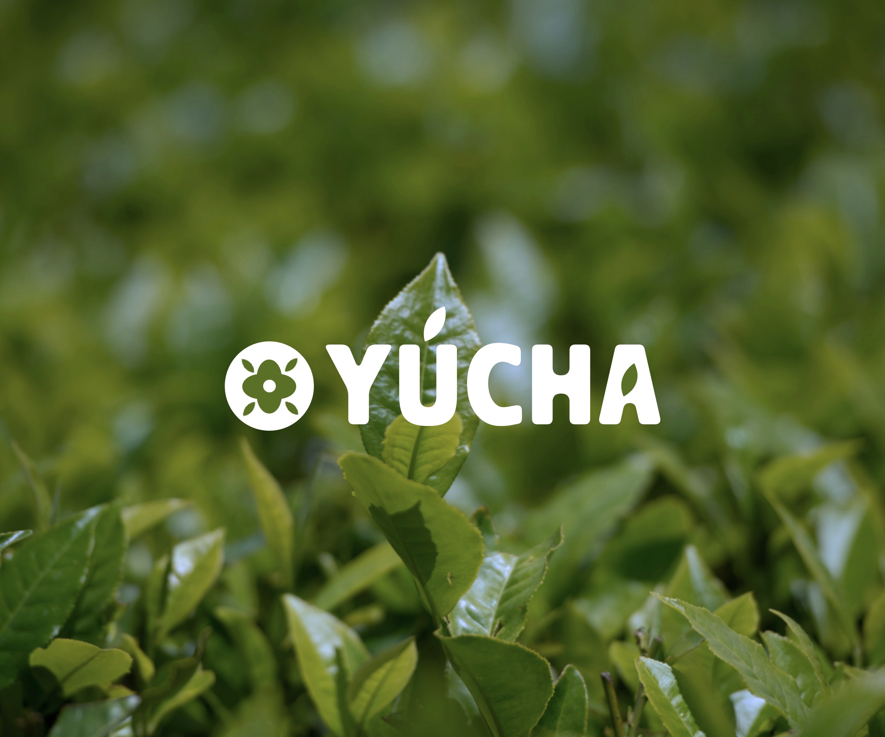 White branded cap with turquoise logo placed on fresh lemons in a red bowl