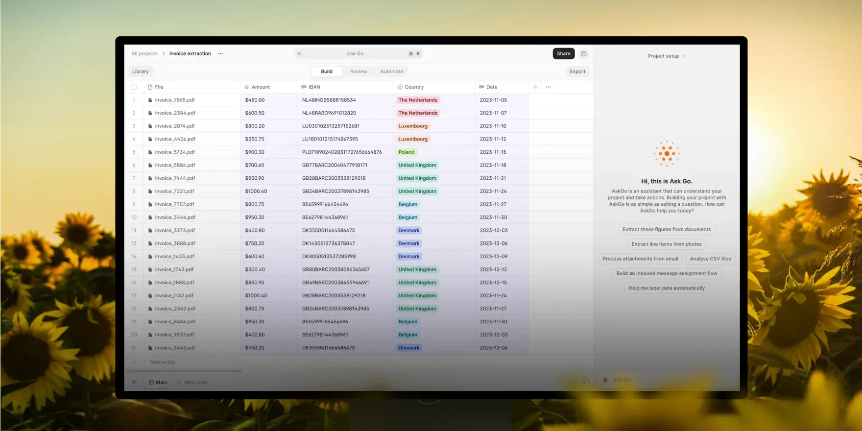 Invoice extraction table with file names, amounts, IBANs, countries, and dates.
