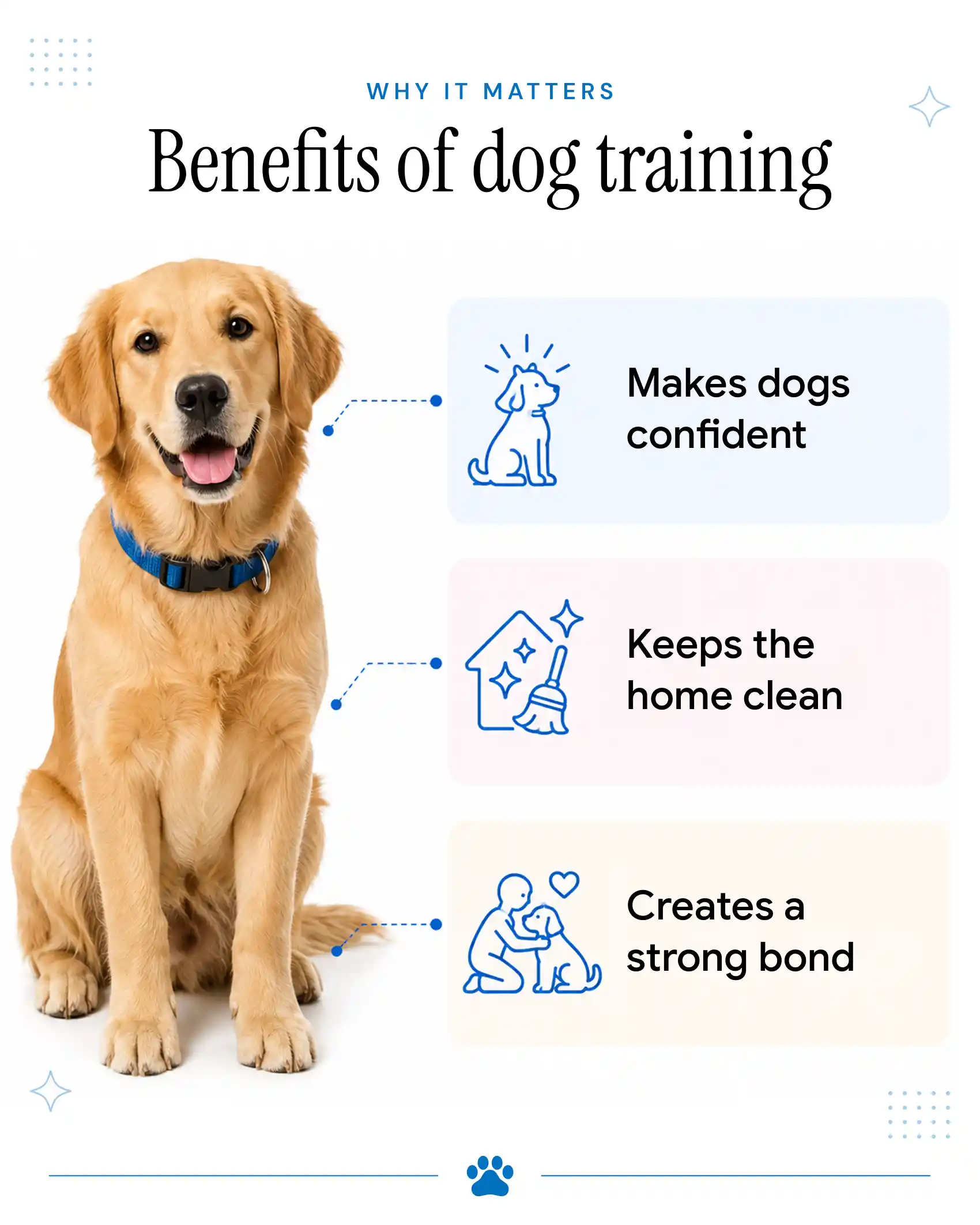 An infographic showing a person playing frisbee with a white dog and highlighting the benefits of house training a dog. 