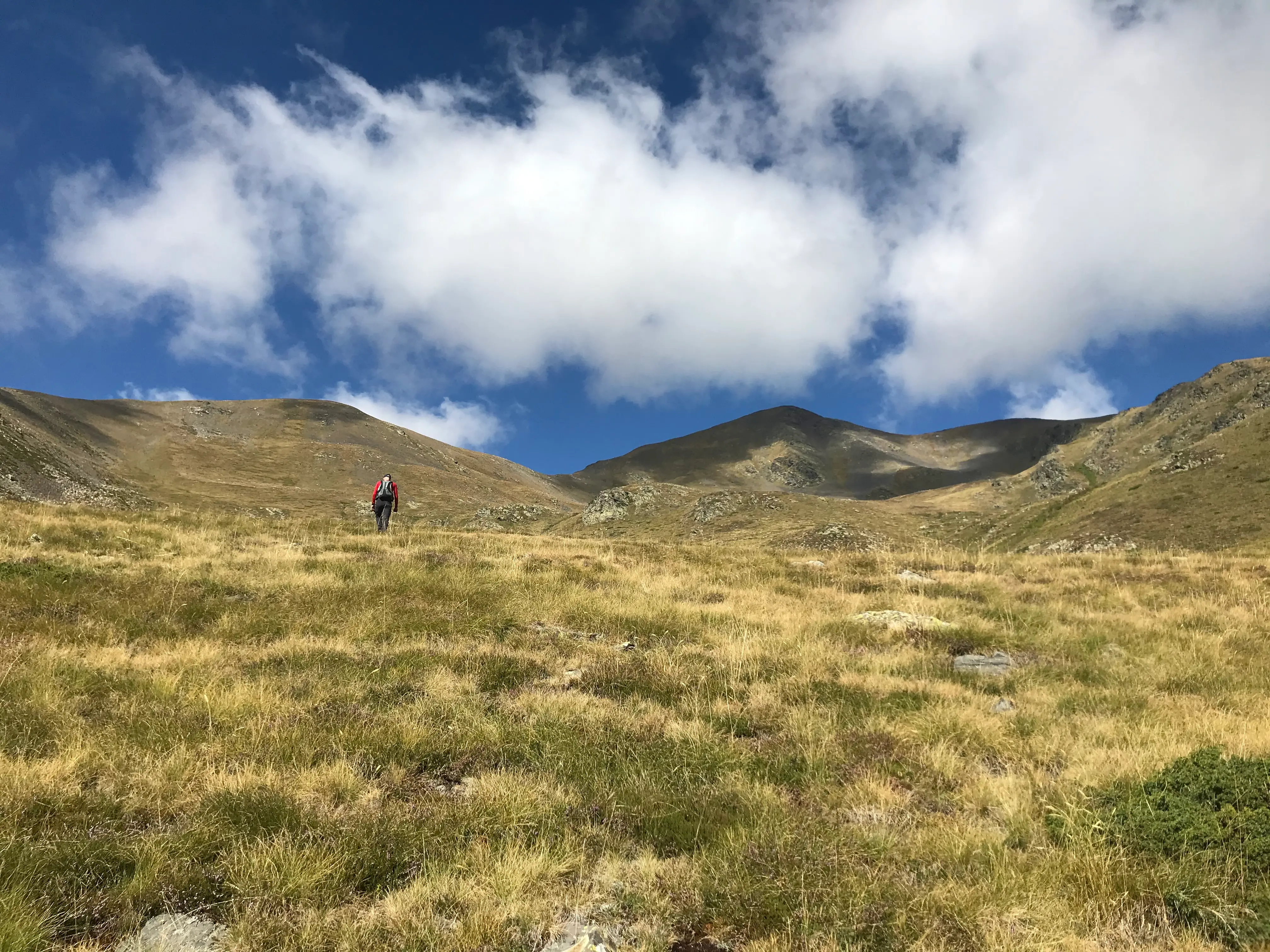 picturesque town by the lake