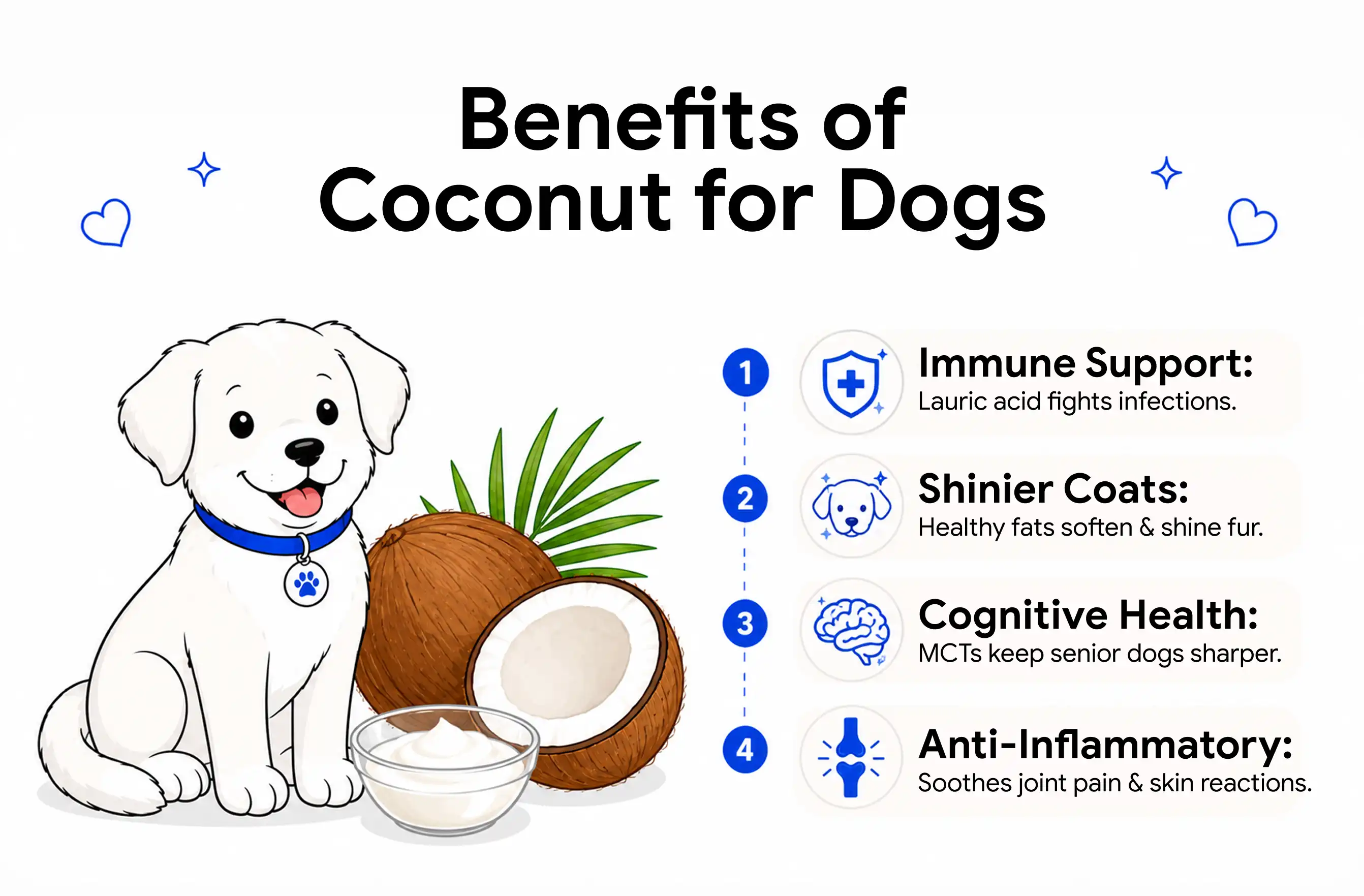 Benefits of coconut to dogs
