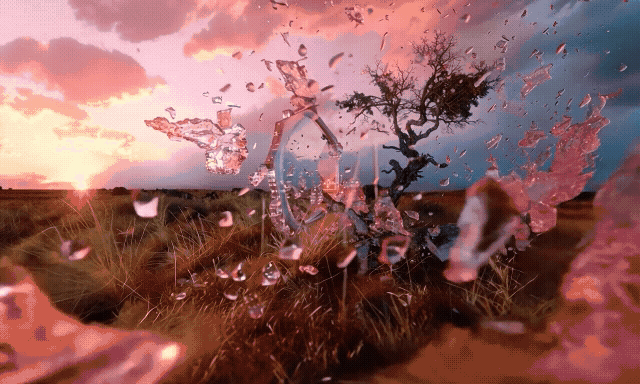 Flower petals on the face