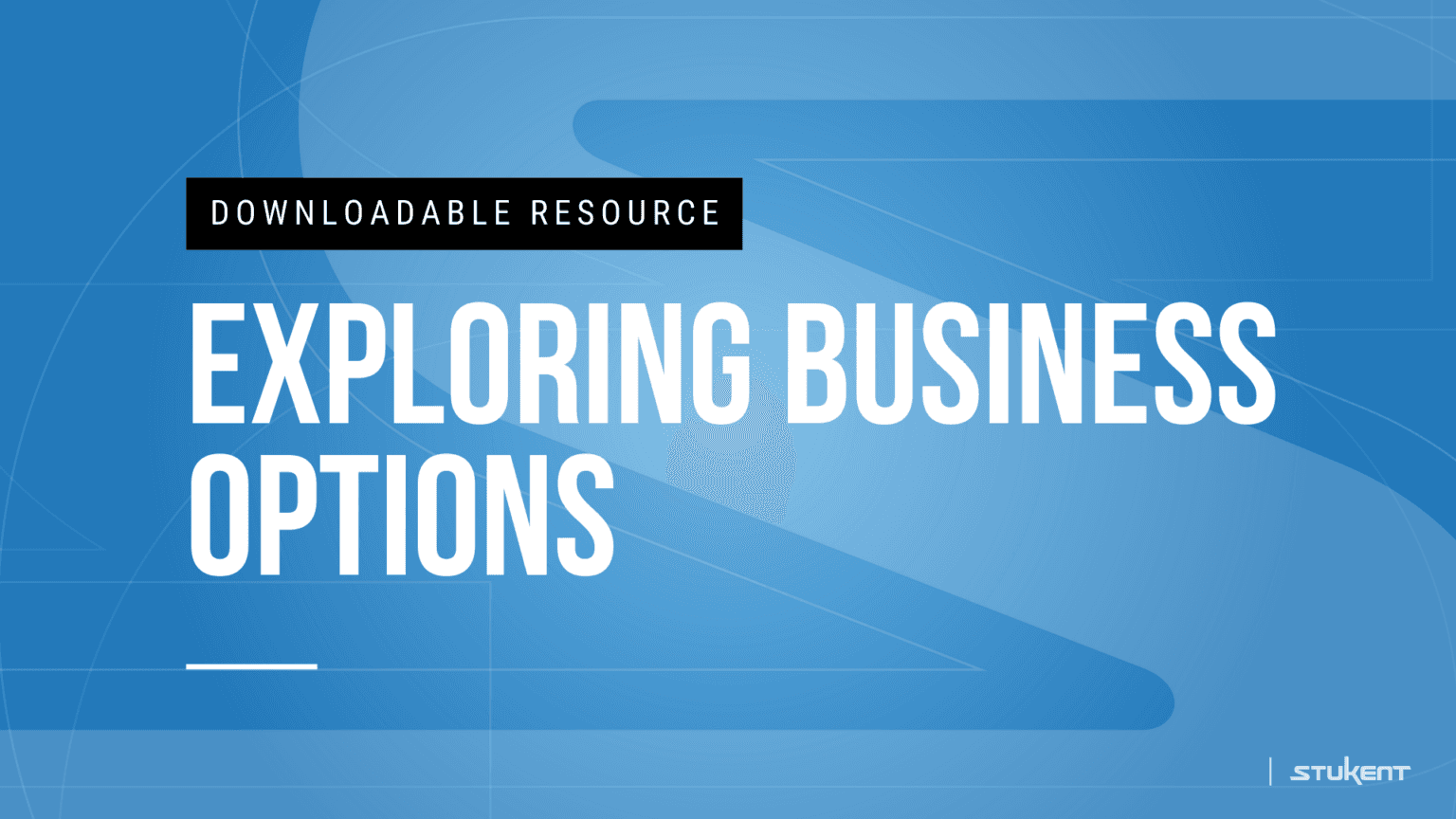 Downloadable assignmnent: EXPLORING BUSINESS OPTIONS