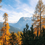 Atsiliepimas apie paslaugas