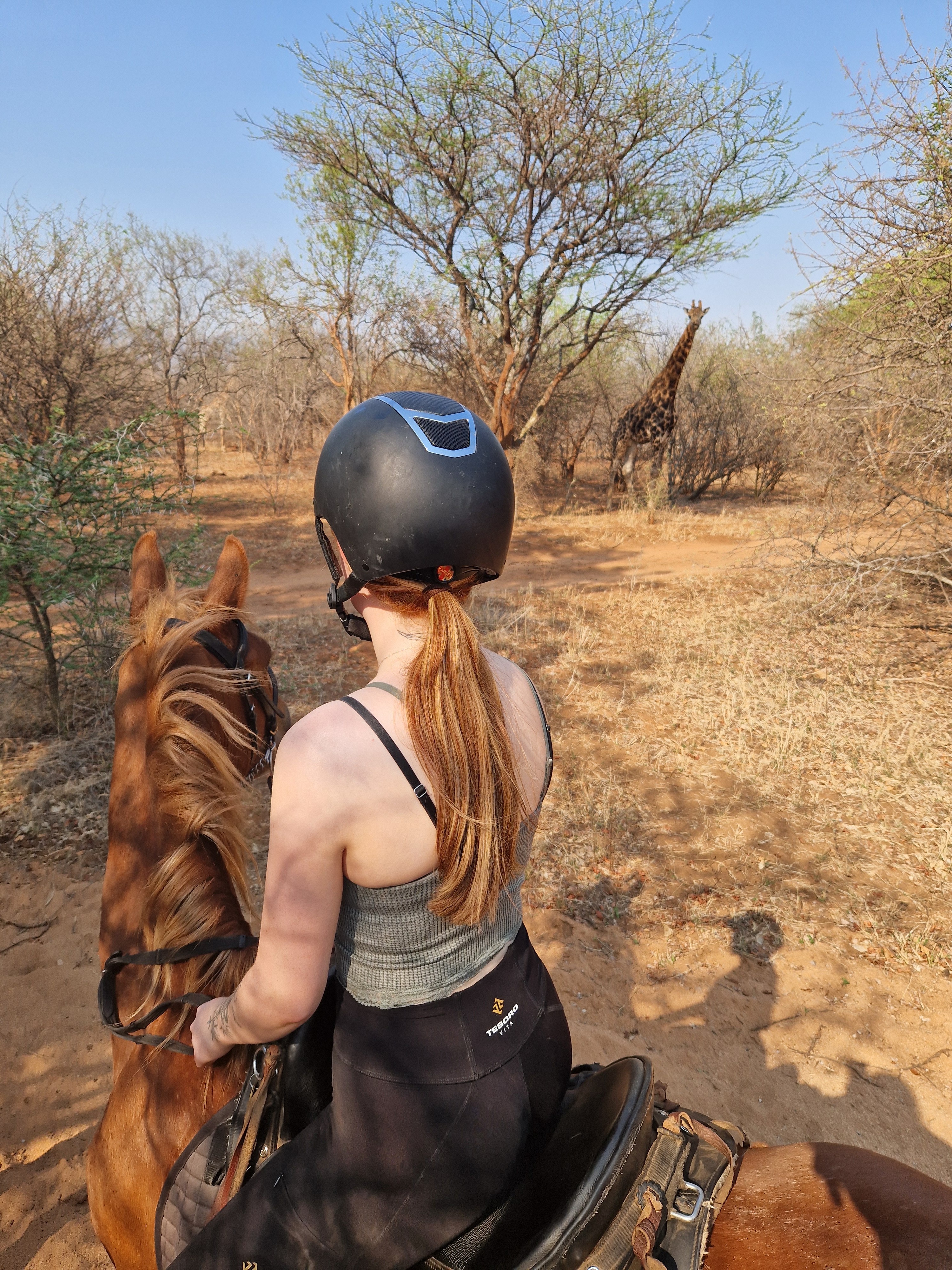 Kilimanjaro Elephant Ride, Arusha National Park, Tanzania – elefant i högt gräs tittar mot kameran, medan fem ryttare till häst på ridsafari i bakgrunden betraktar elefanten i ett grönt och frodigt landskap.