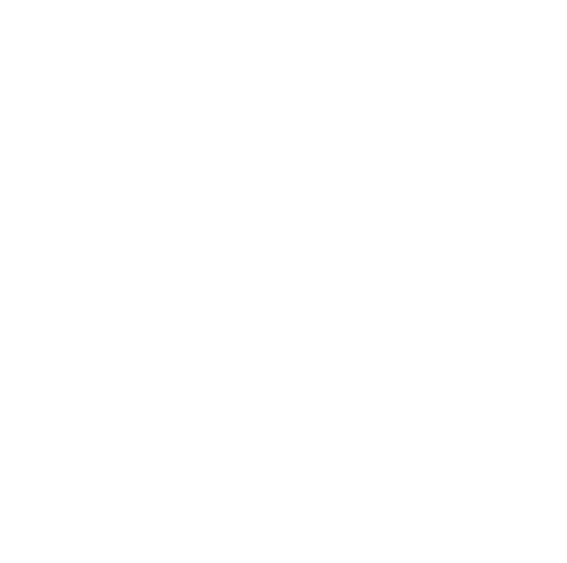 Logo Lost Road House