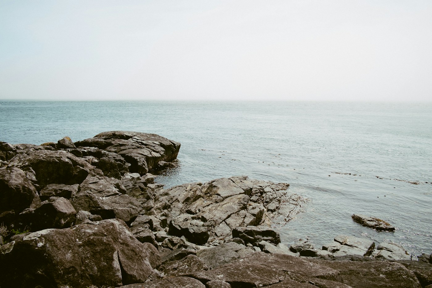 A rocky shoreline in soft light