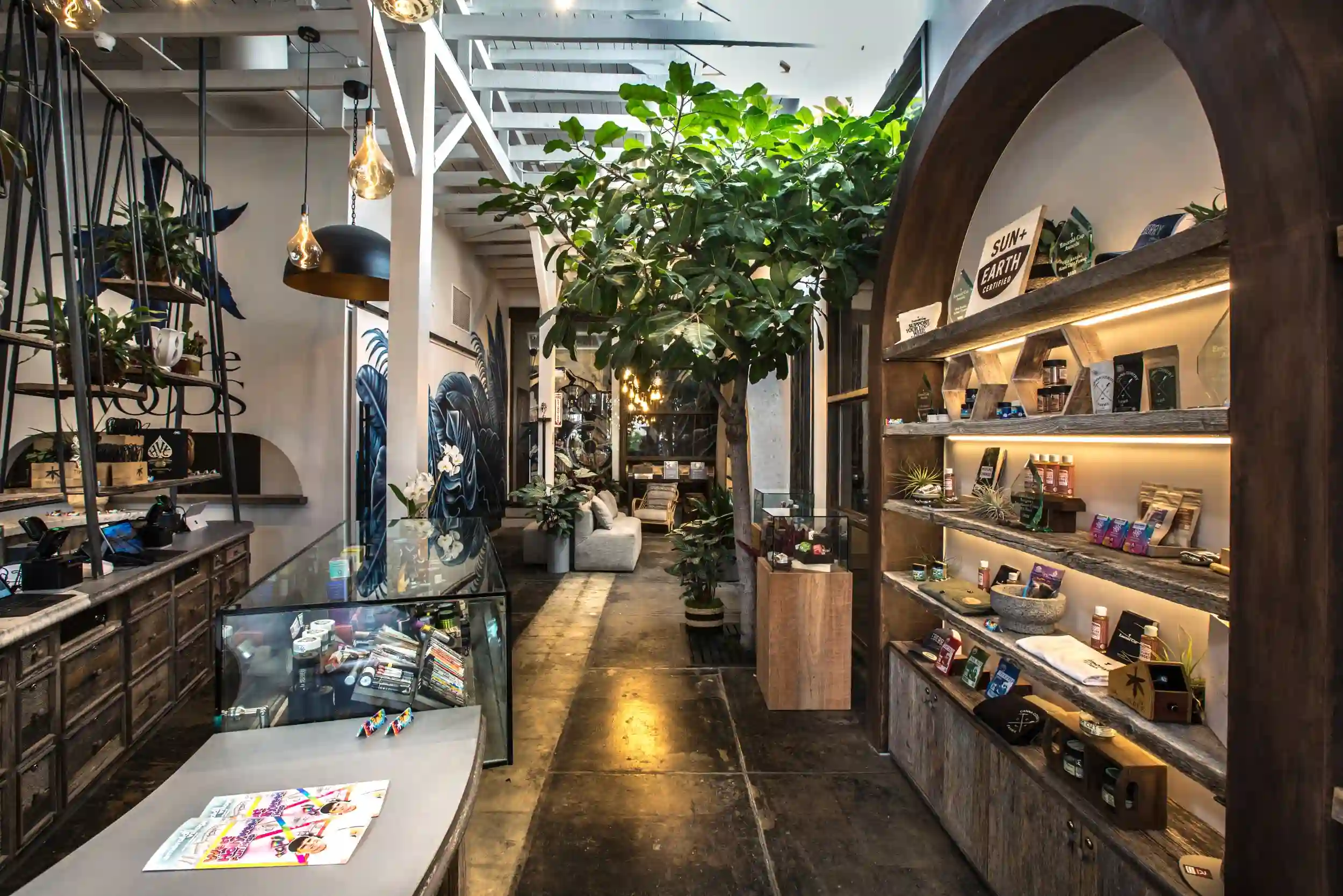 the Woods WeHo dispensary Indoor