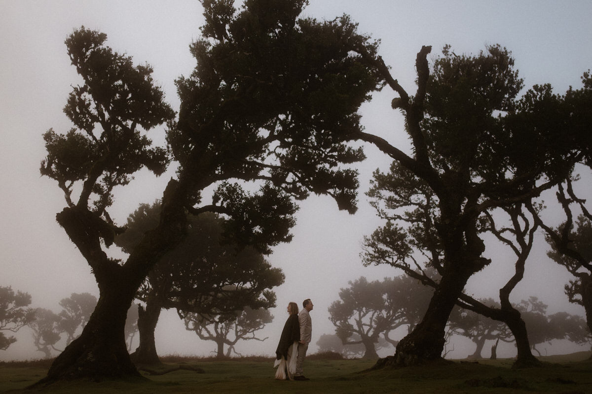 wedding couple standing underneath eerie tree silhouettes