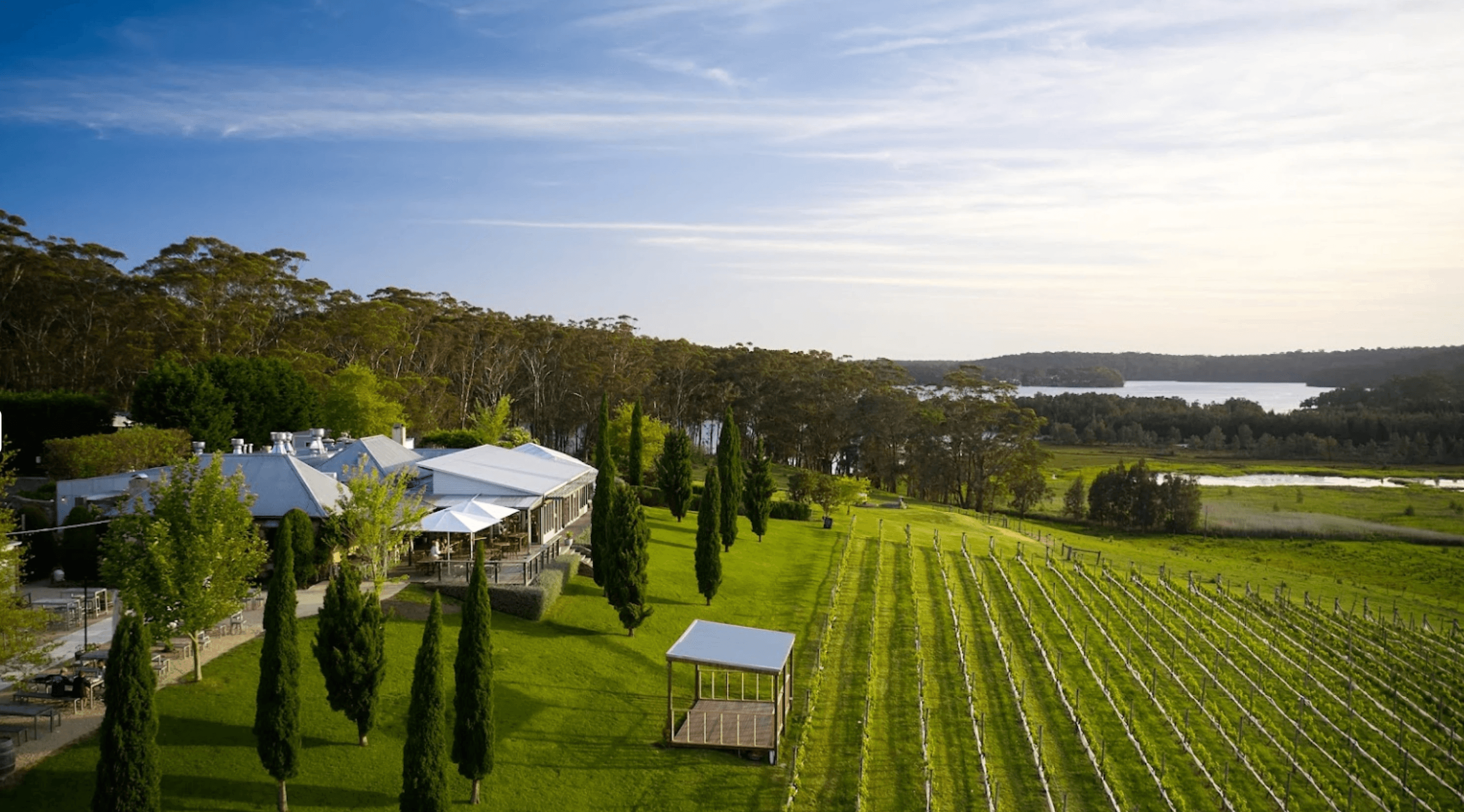 Cupitt's Estate Winery NSW