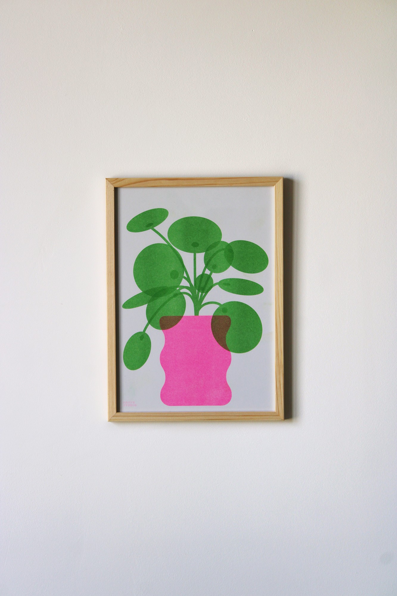 Poster Pilea