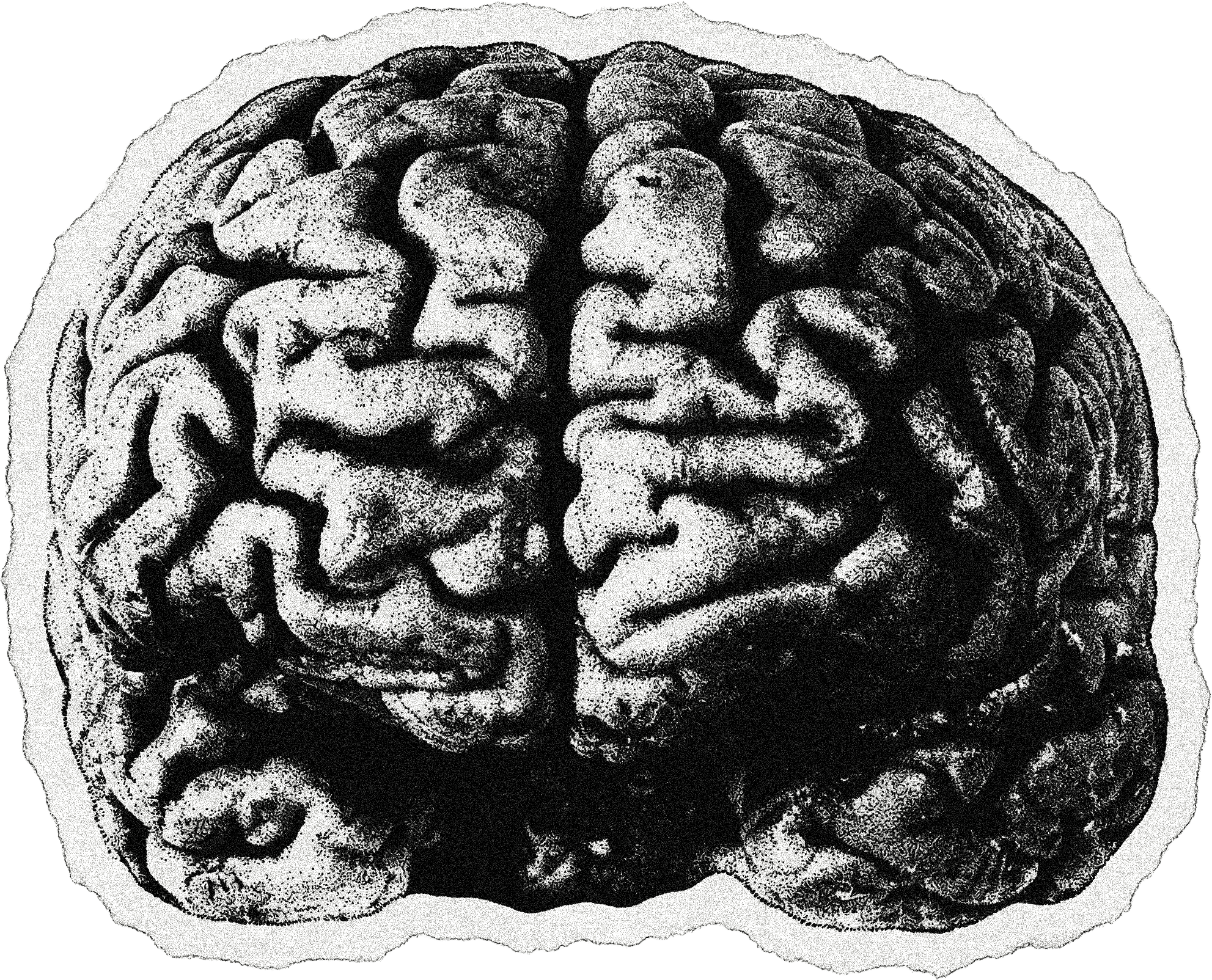 Sport car from the top