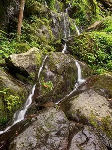 The BEST Hidden Gem Activities Near Pigeon Forge