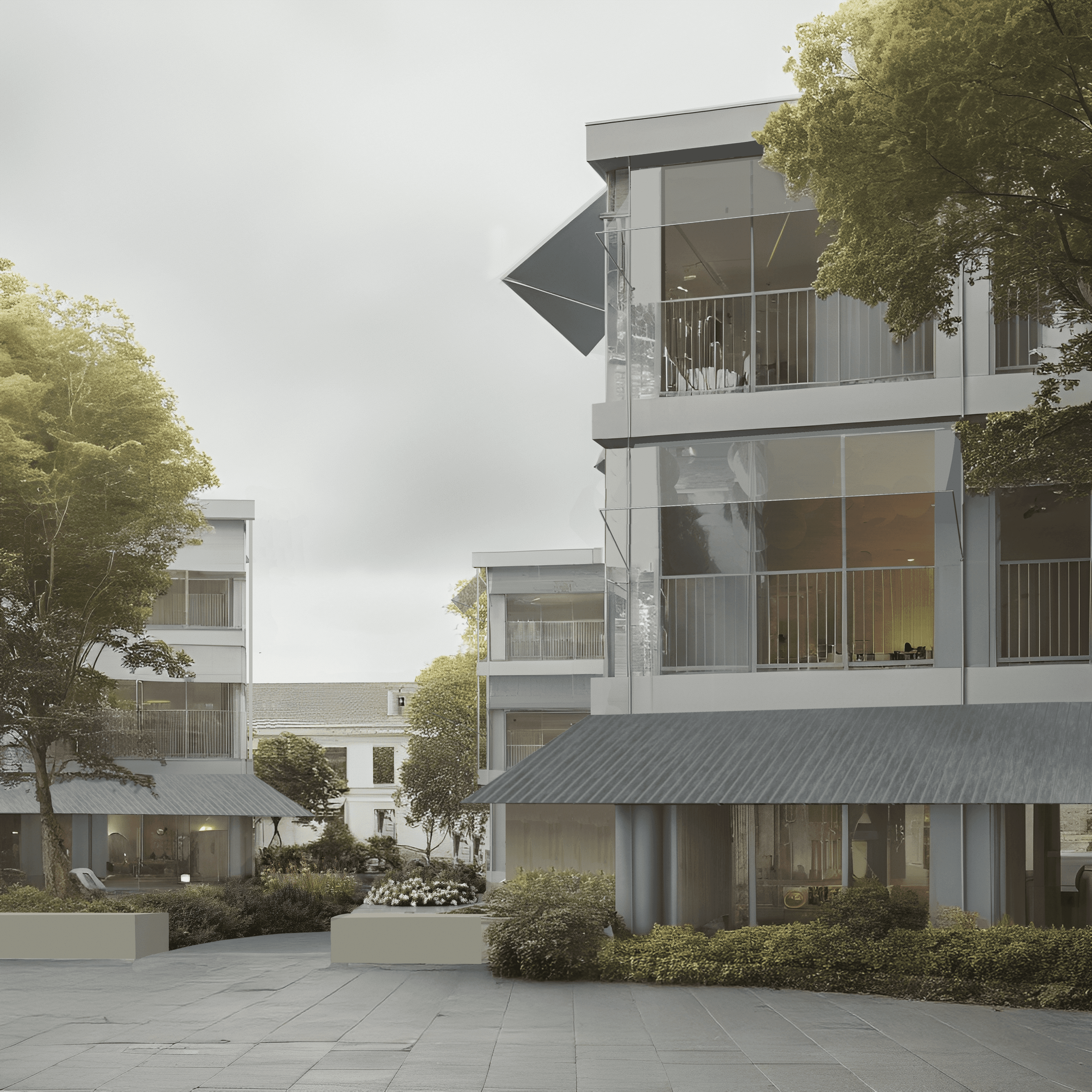 A modern, minimalist interior with wooden flooring, large windows, and a few plants giving a bright, airy feel.