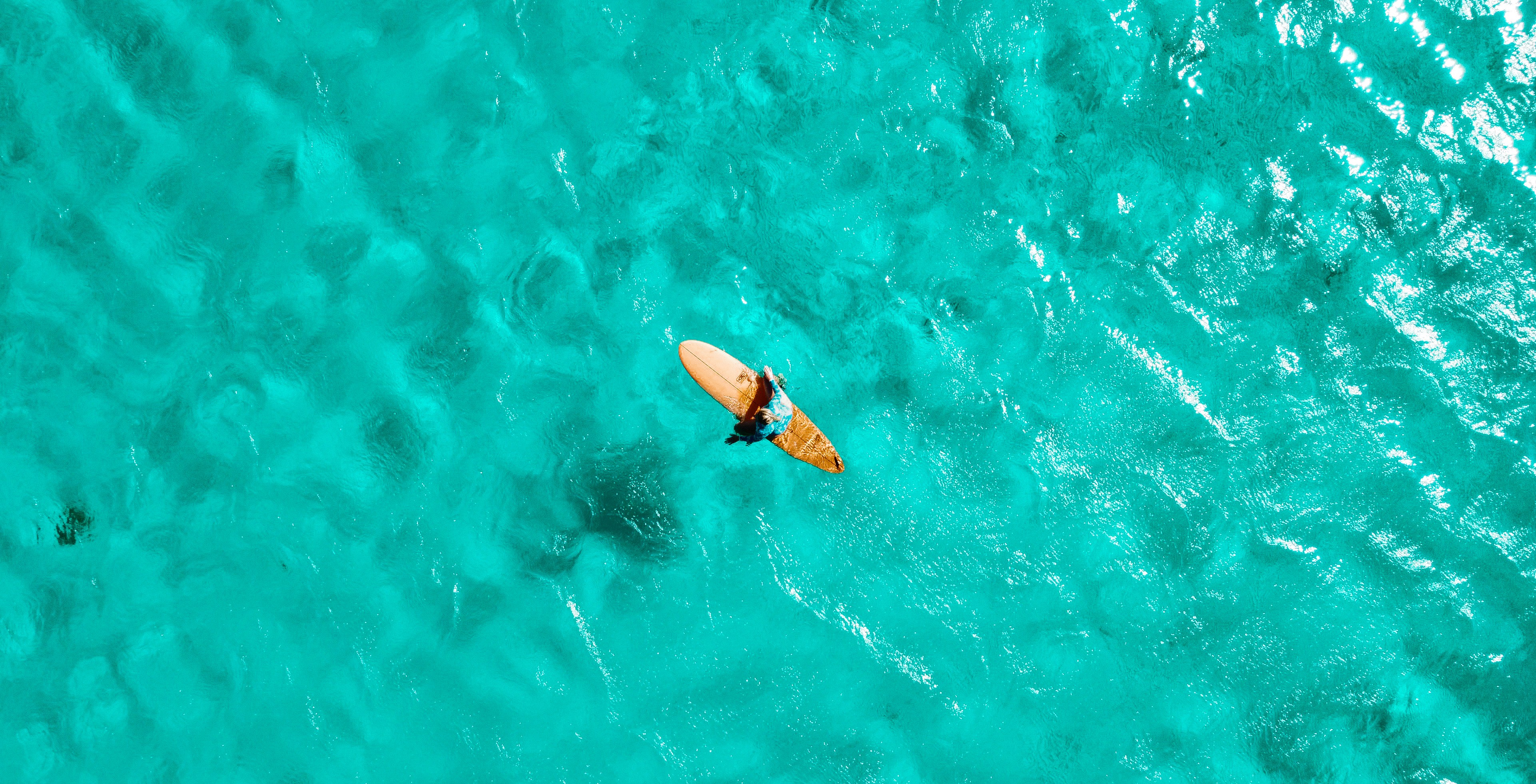 a black female model