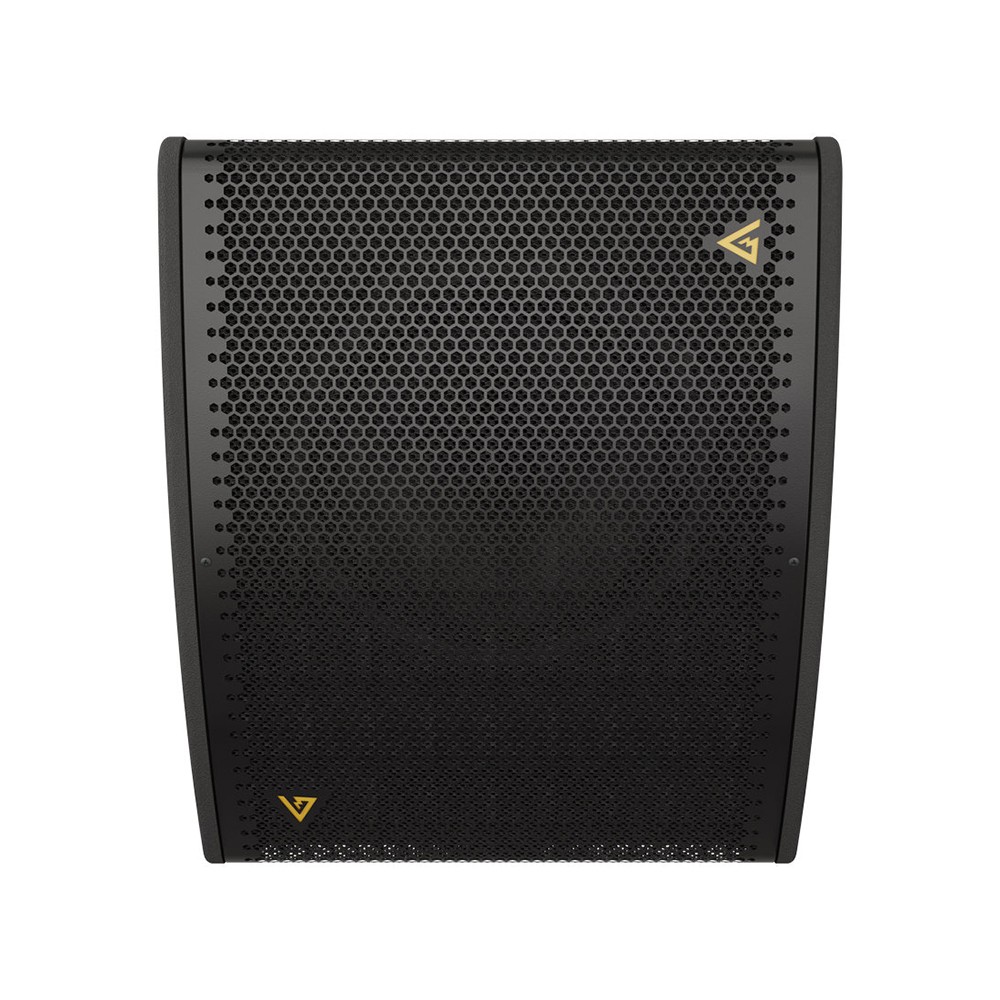 Black speaker with gold logo