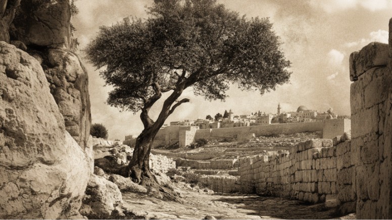 A cornerstone lying abanded on the ground