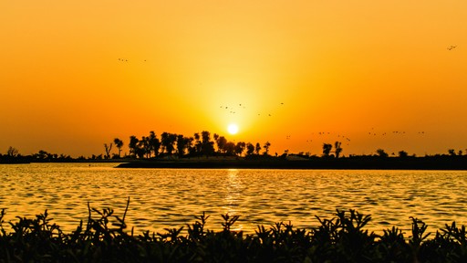 Yellow Card Sees Success In Africa, Expands To Key Markets. Photo By Stanislav Ferrao On Unsplash.