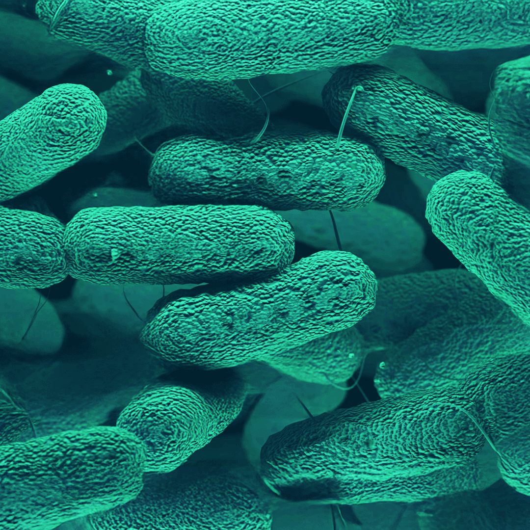 3D representation of microorganisms.