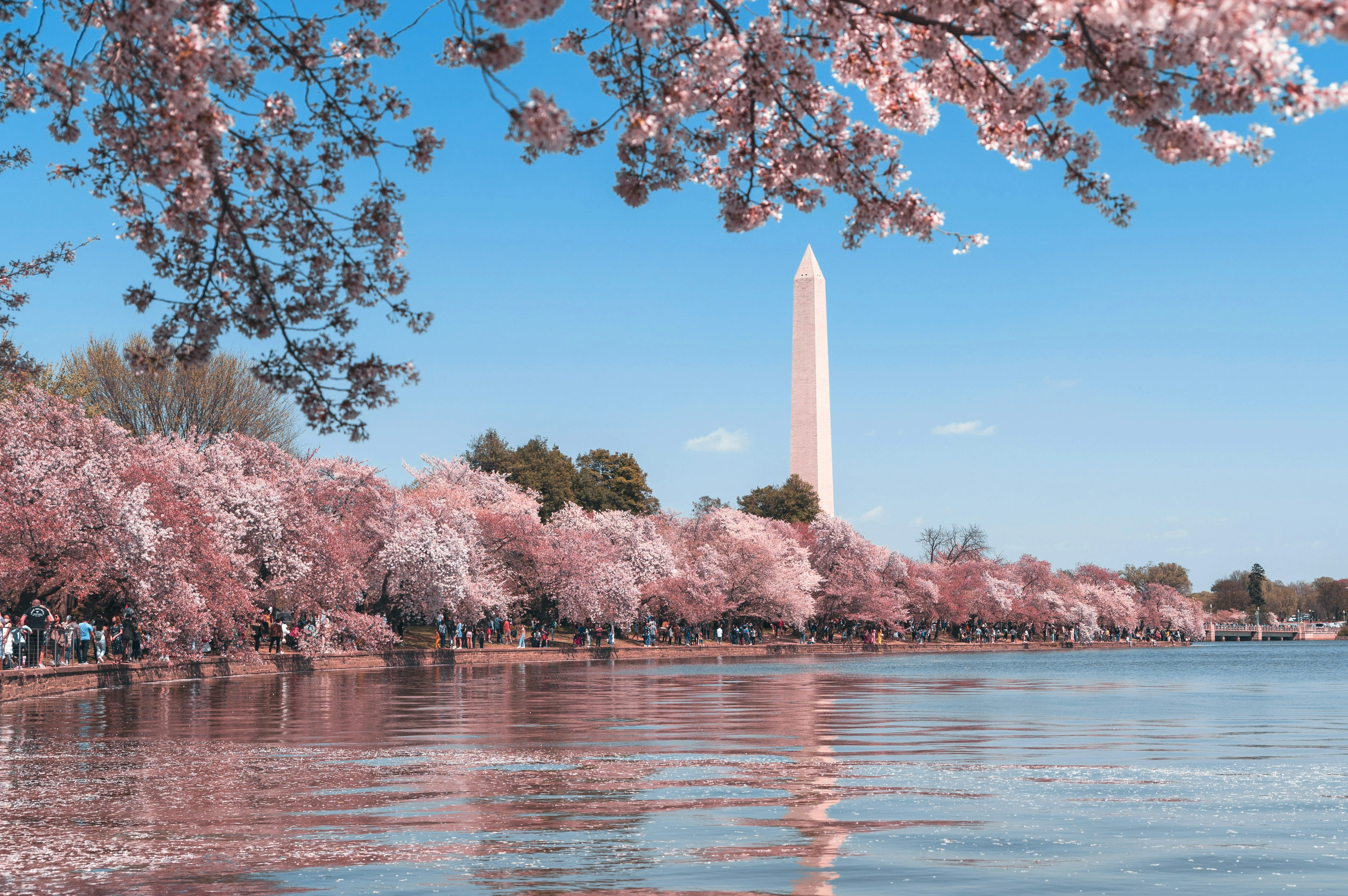 Cherry blossoms frame the Washington Monument across the Tidal Basin, setting the scene for the 2026 Billington Cybersecurity Summit in Washington, DC.