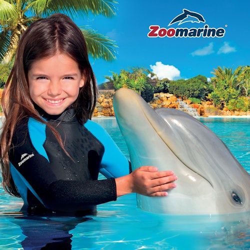 Una chica en un traje de neopreno sonríe mientras toca un delfín en una piscina. El logotipo de Zoomarine está en la esquina superior derecha.