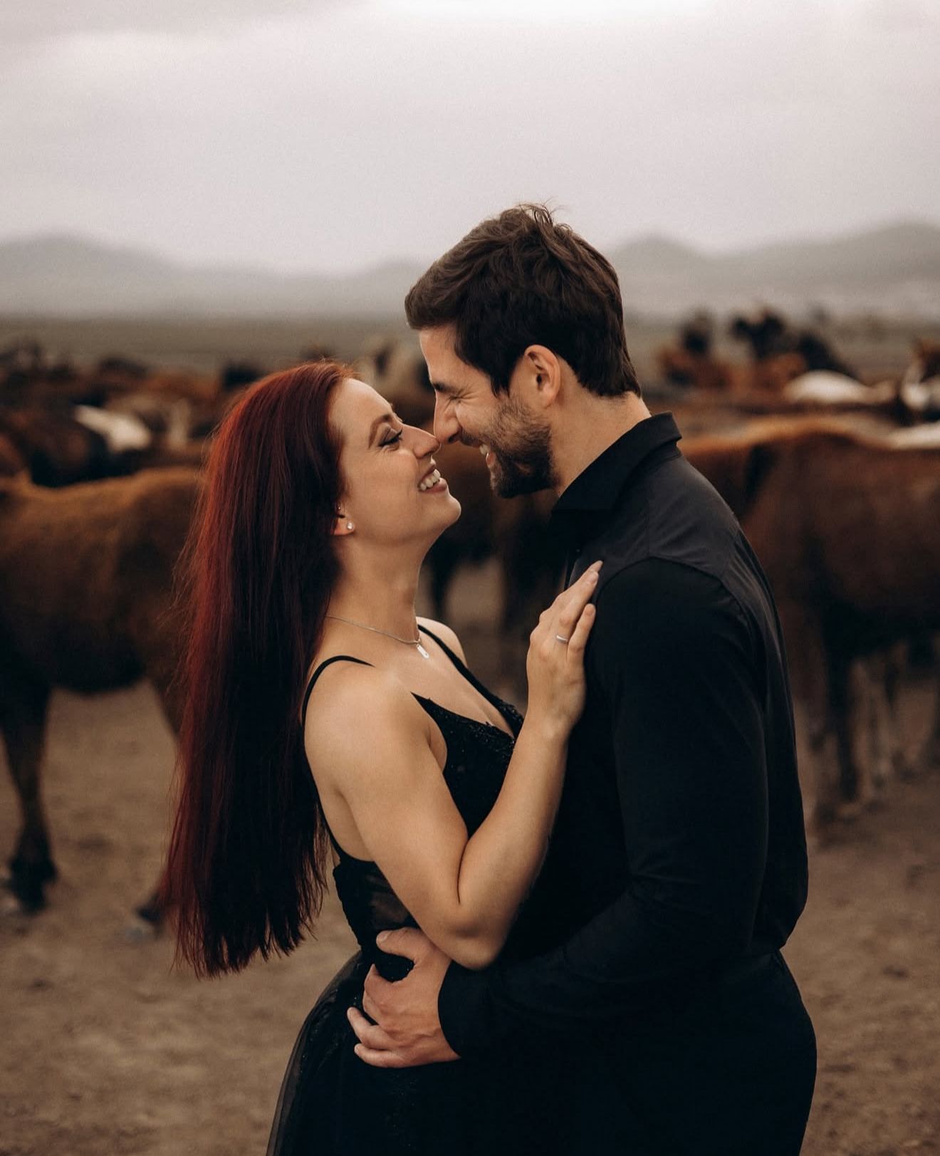 Desert journeys in AlUla — sunset views, canyon trails, and golden dunes.