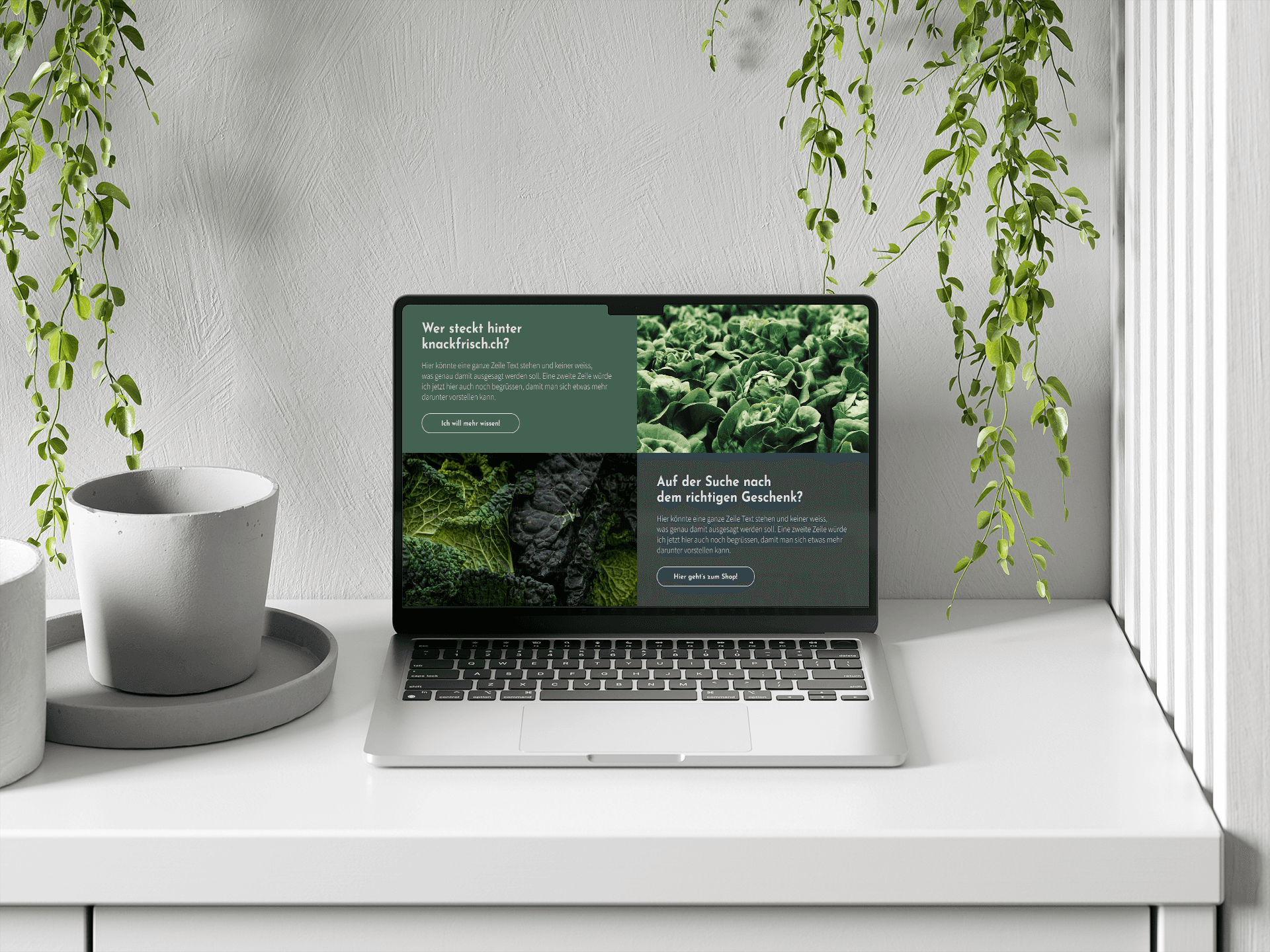 Mockup Webdesign Knackfrisch