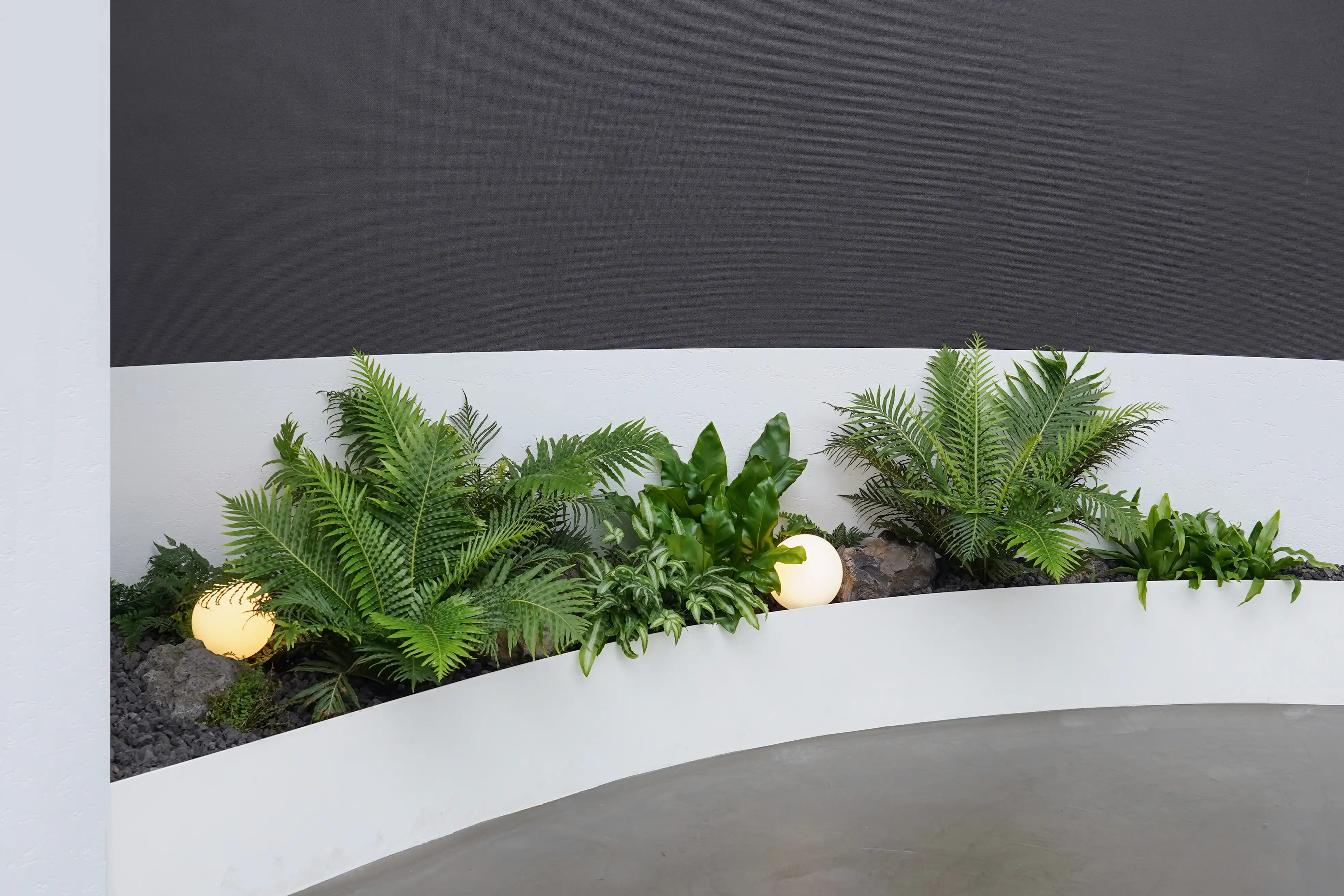 양치류(고사리) 플랜테리어