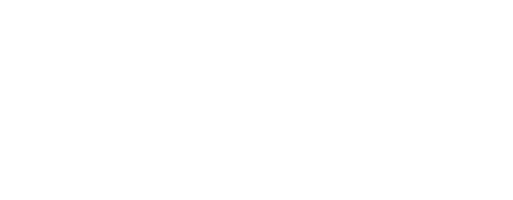 Sleek Logo White