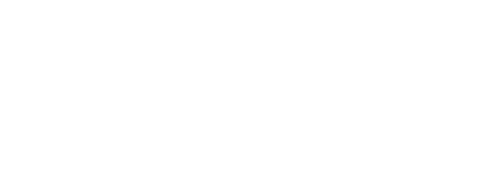Sleek Logo White