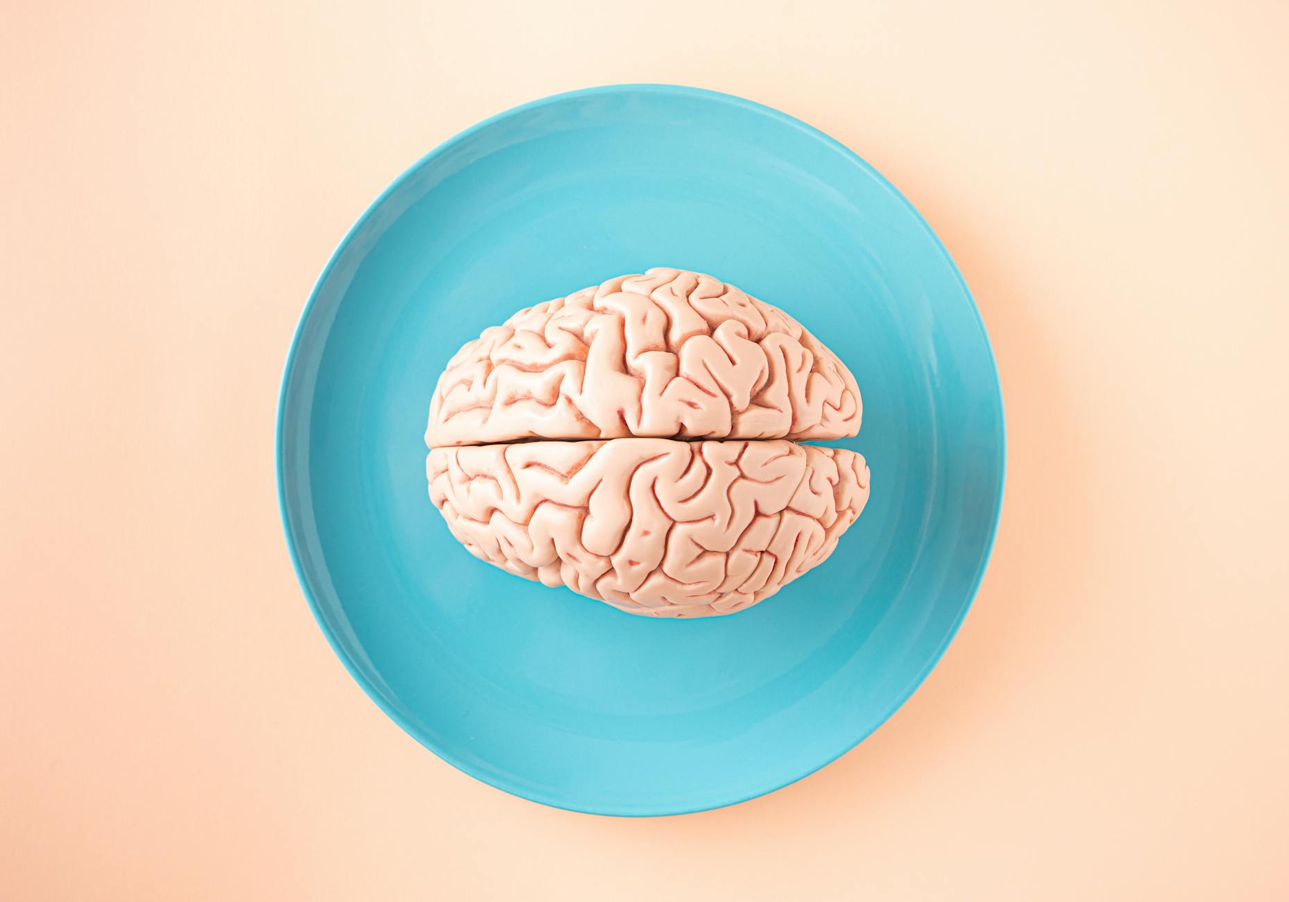 A close-up of a human brain illustration with glowing neural pathways representing visual learning processes.