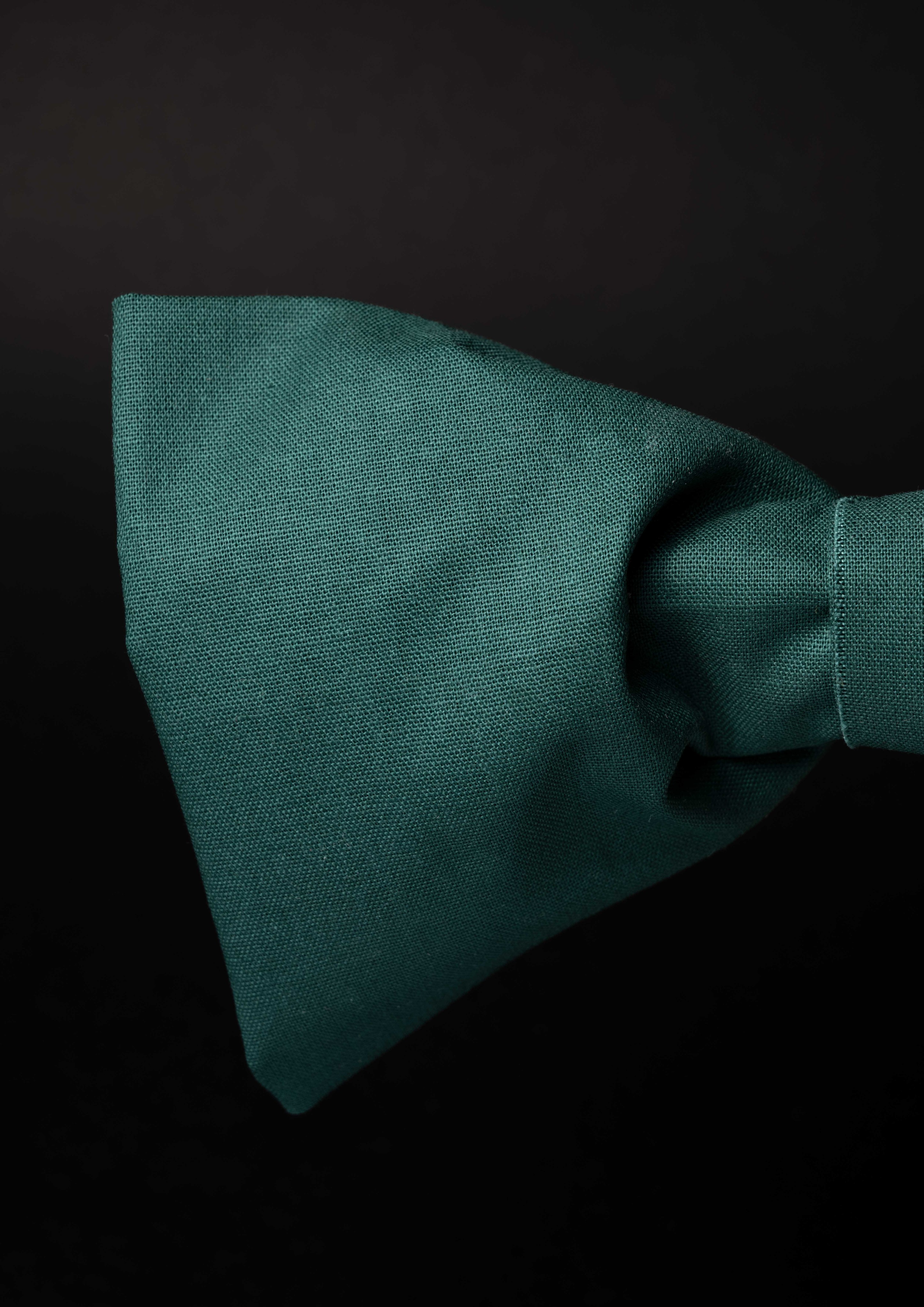 Cropped photo of a bow tie