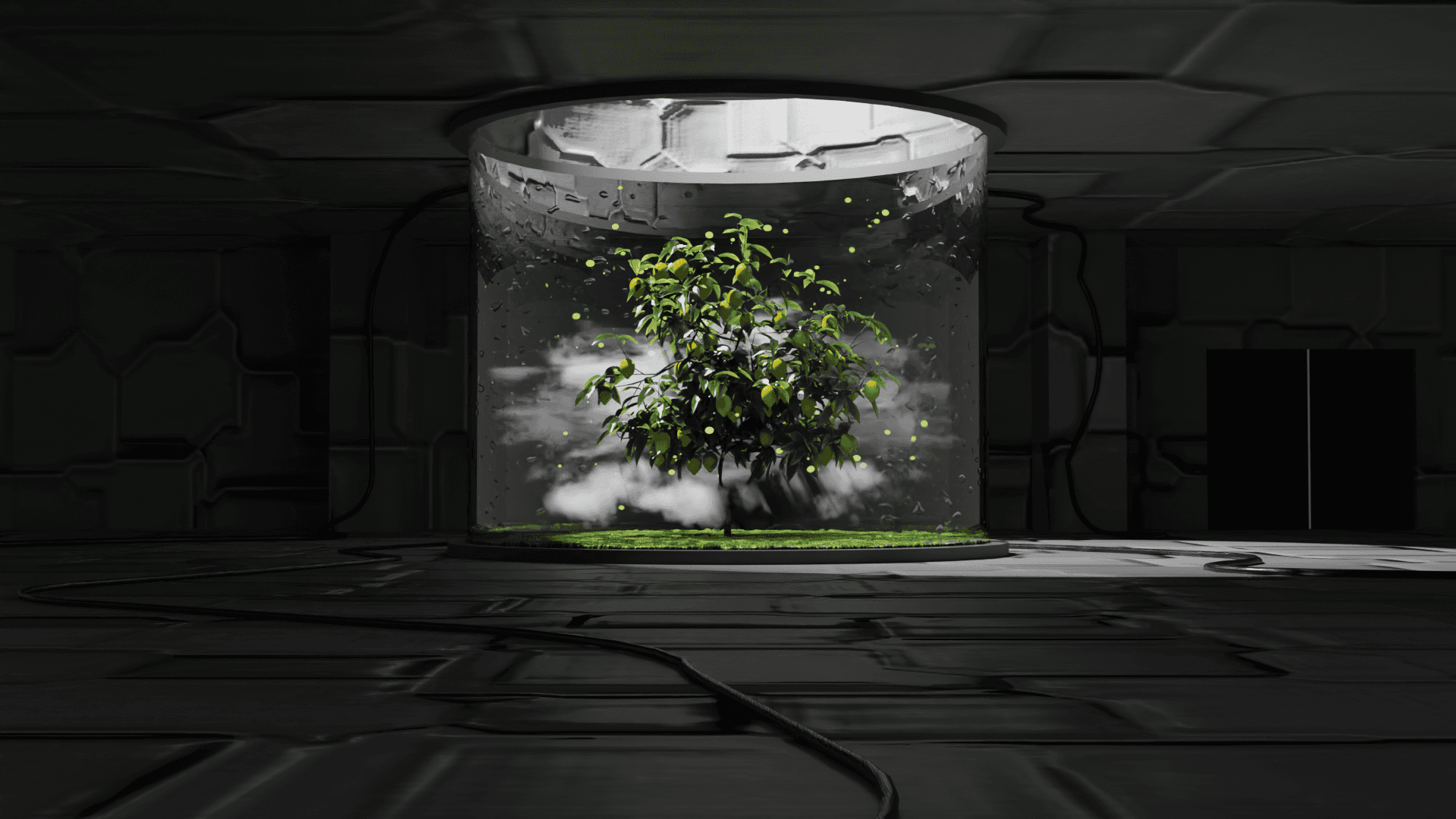 Margot about section