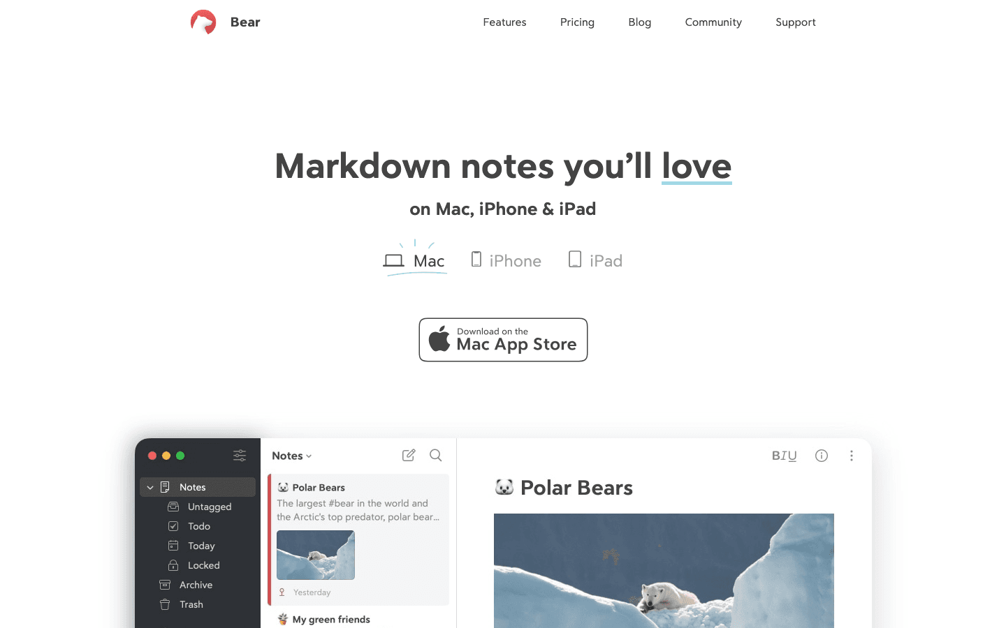 Bear app website