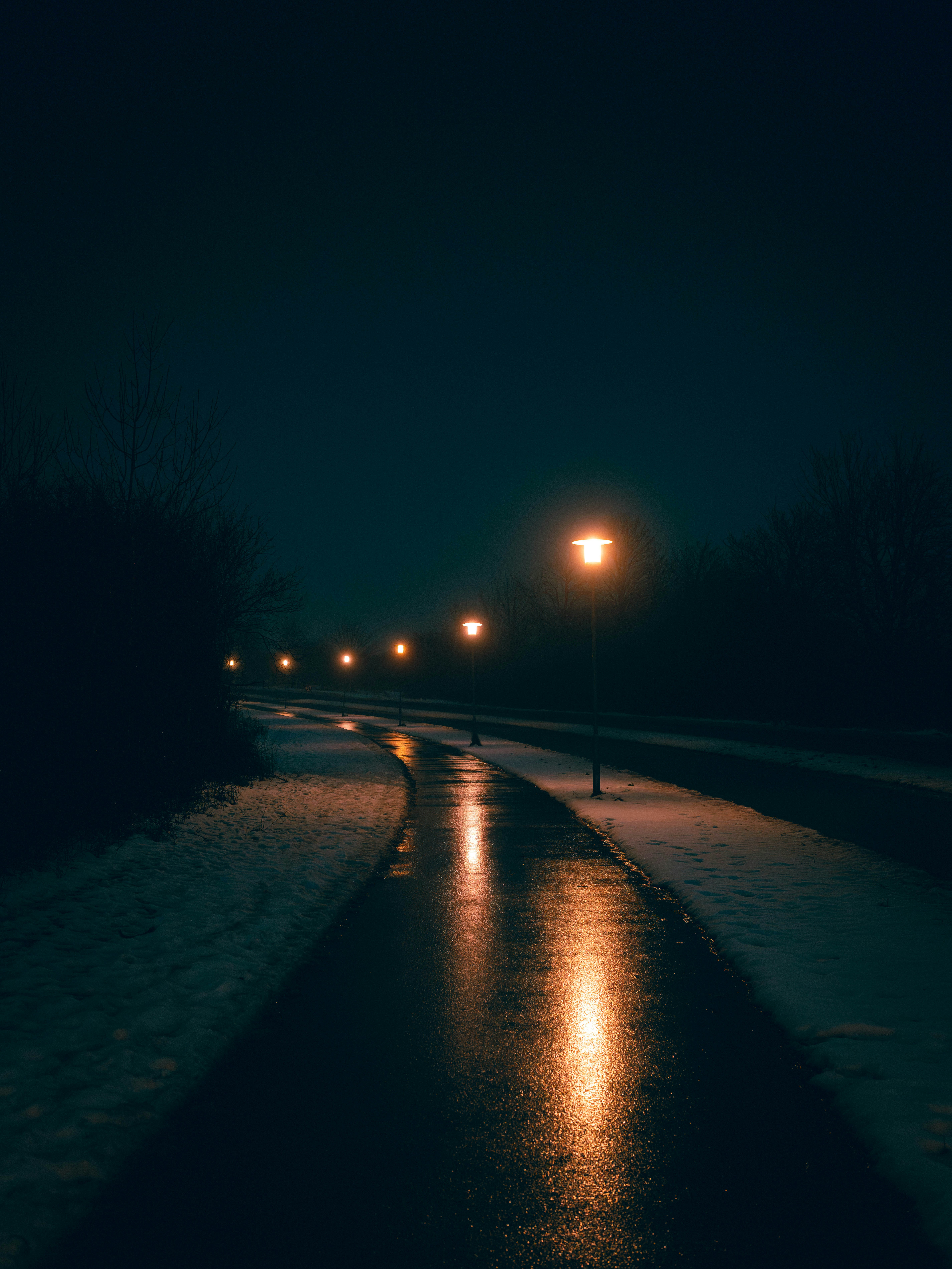 A wet path illuminated by streetlights at night.
