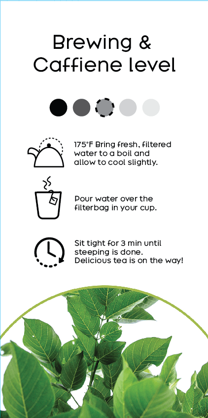 brewing instructions and caffiene levels with minimalist iconography. there's a photo of a close up of green tea branches on the bottom of the label