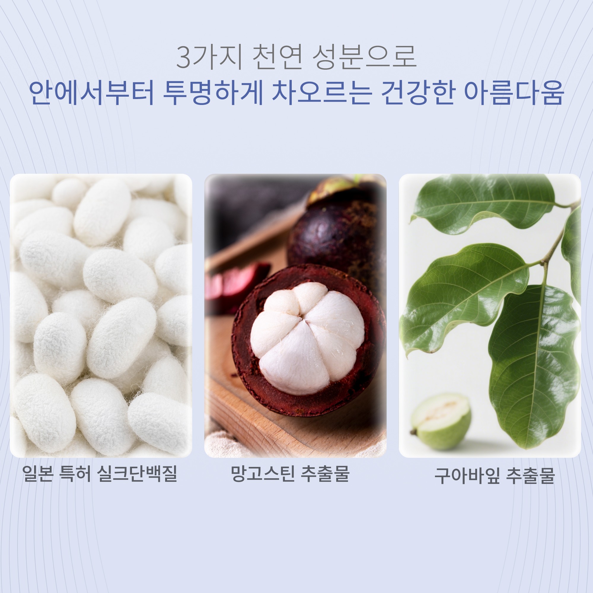 美极孅净冻