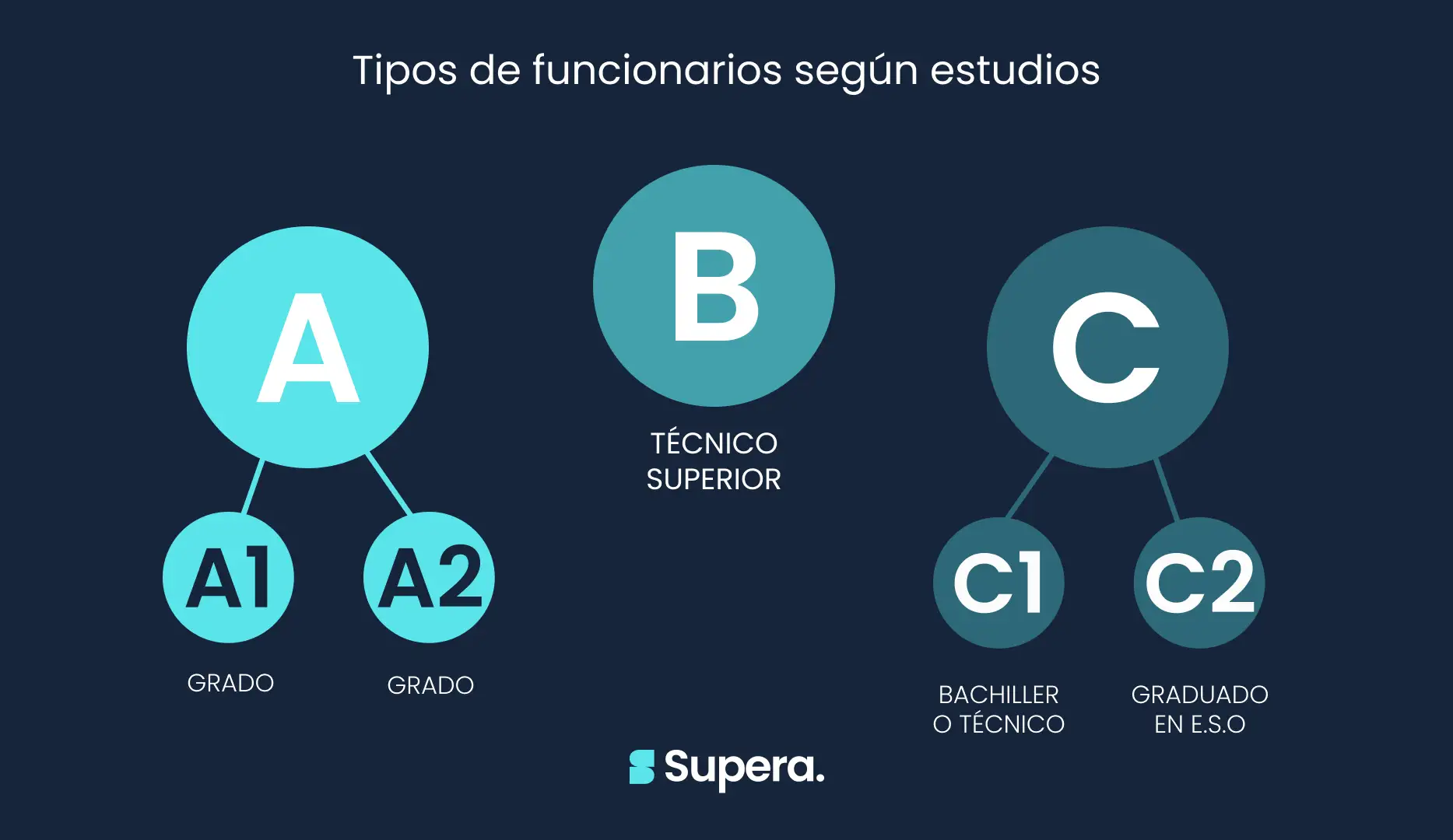 tispos de funcionarios segun grupo estudios