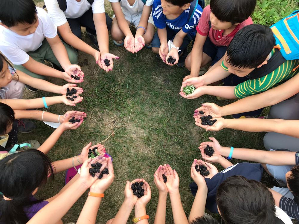 What is Waldorf Education?