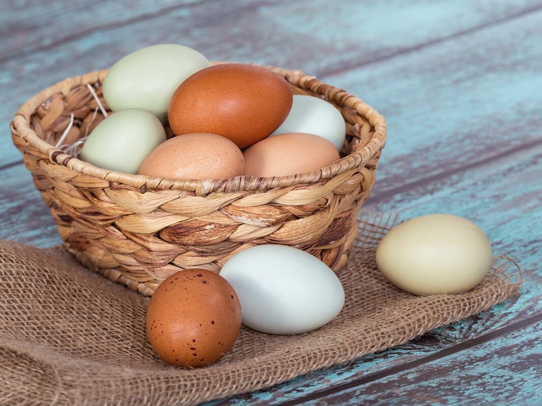 lean proteins for weight loss