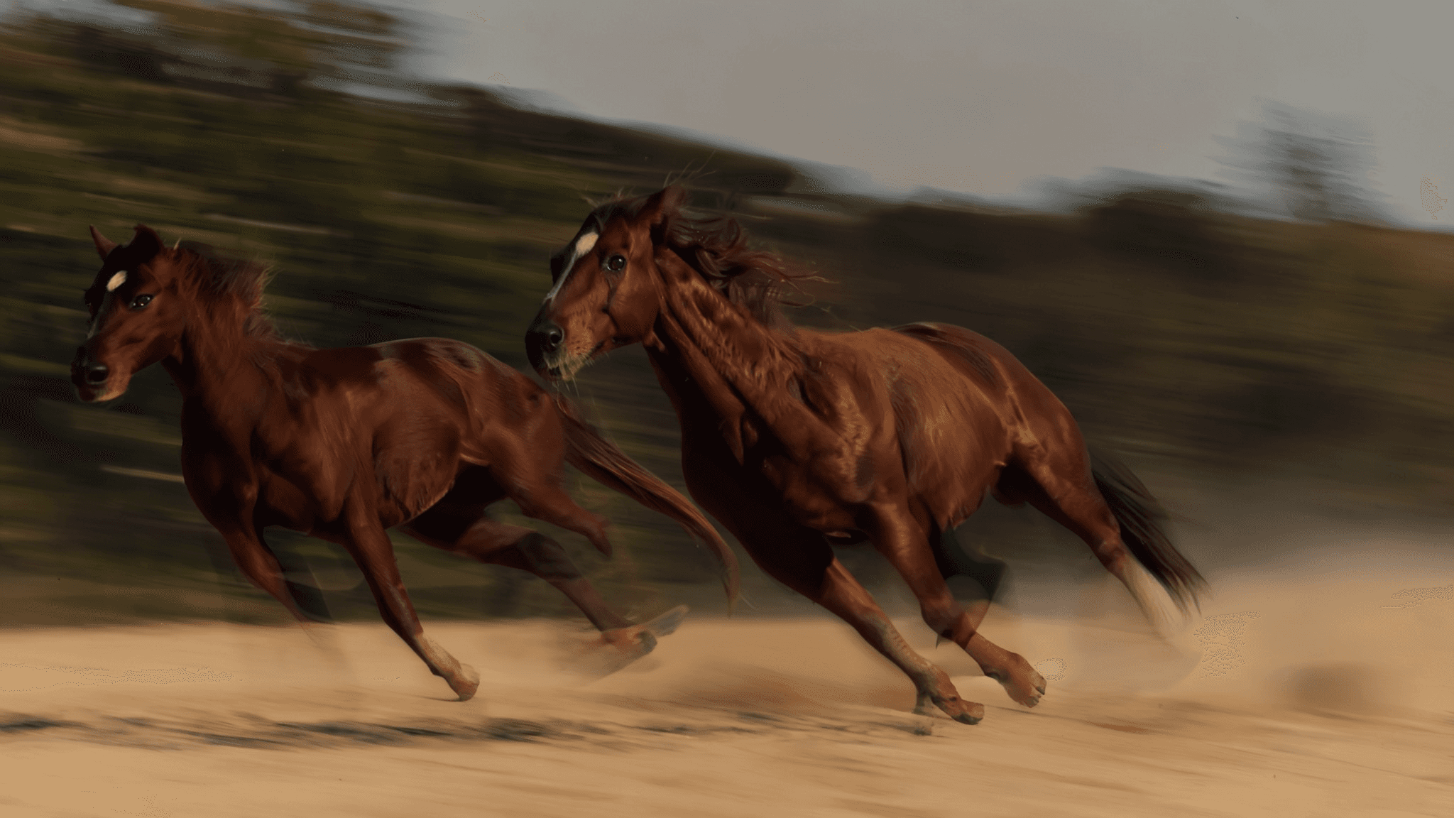 Horses running. AI-generated.