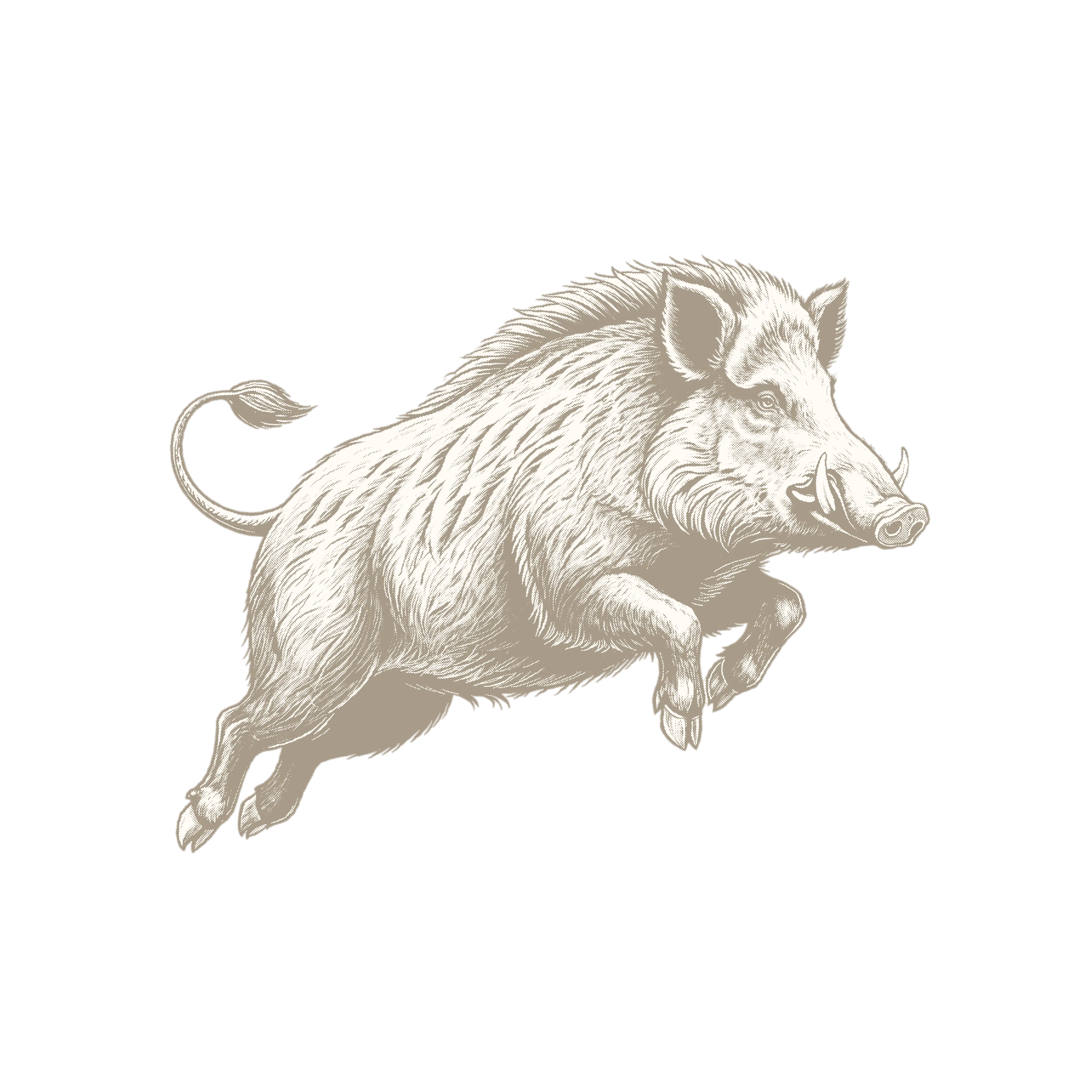 A white pig, shown in a leaping pose, set against a light grey background.