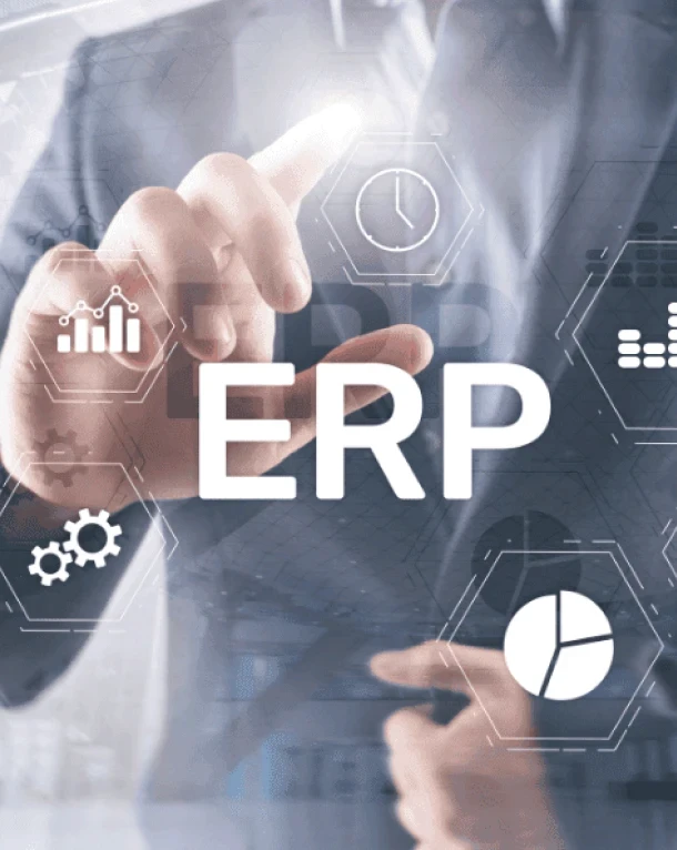 ERP Guide: Implementation, Customization & Industry Solutions